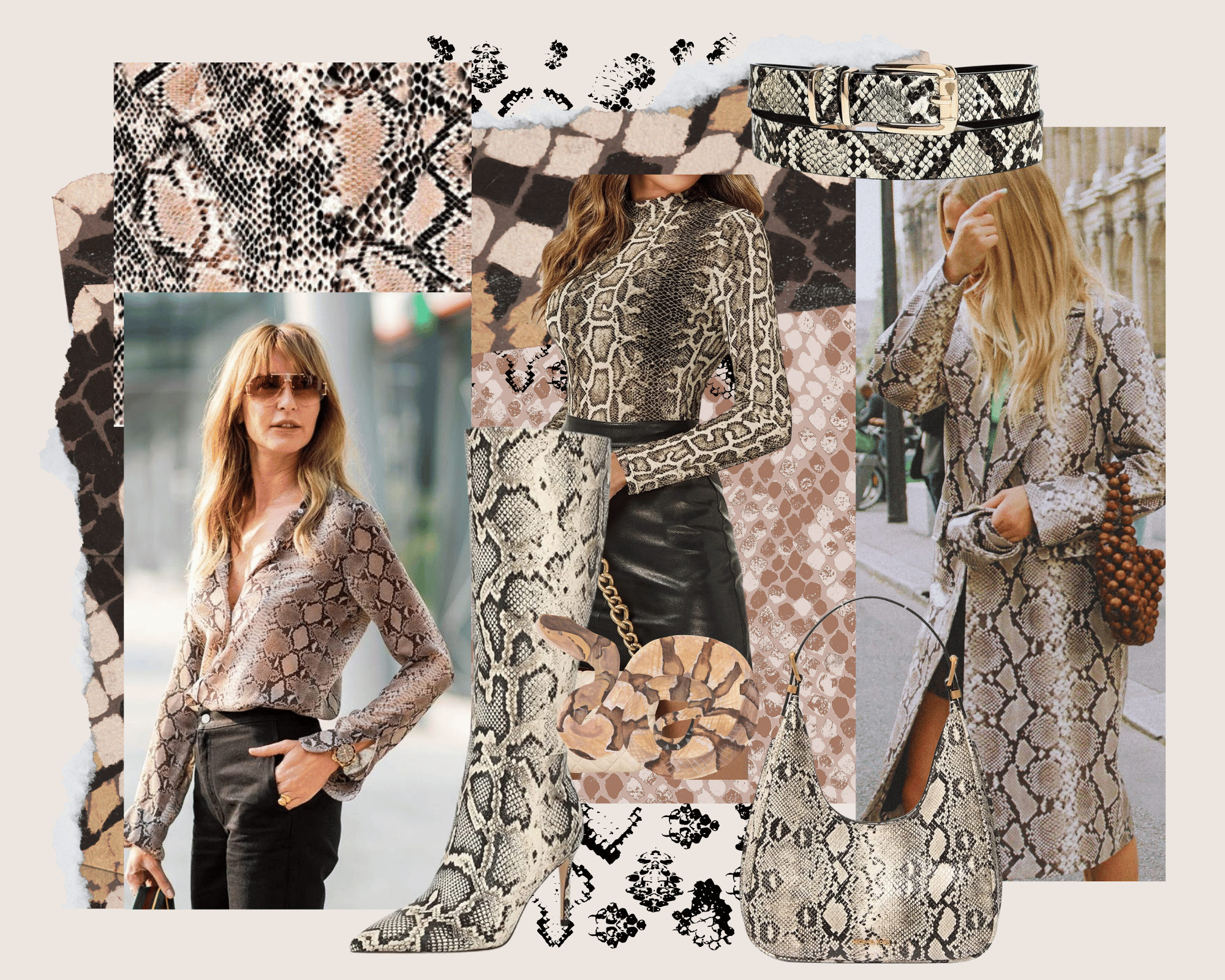 Animal Prints Fashion